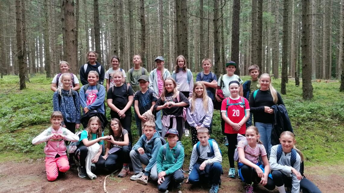 Klasse 1D
